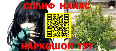Альфа ПВП Малгобек