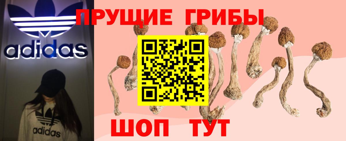 Псилоцибиновые грибы Magic Shrooms Ефремов