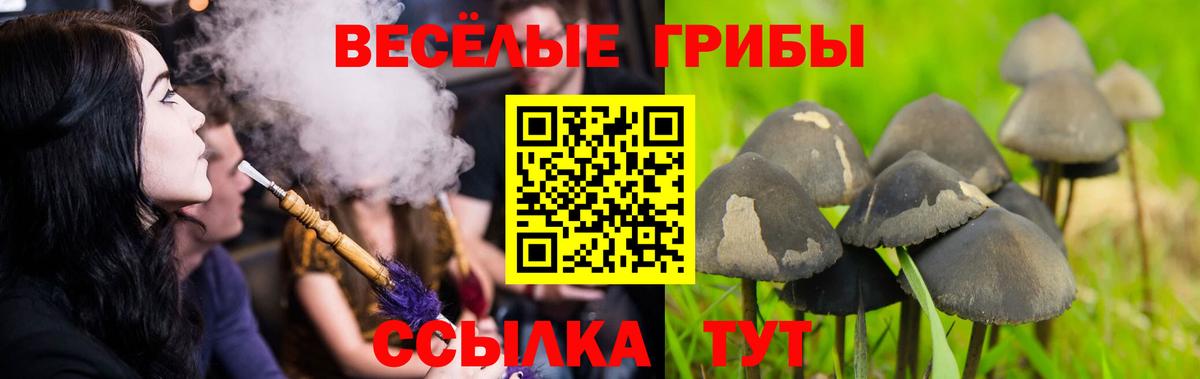 Псилоцибиновые грибы мицелий  Вход с VPN  Ефремов 